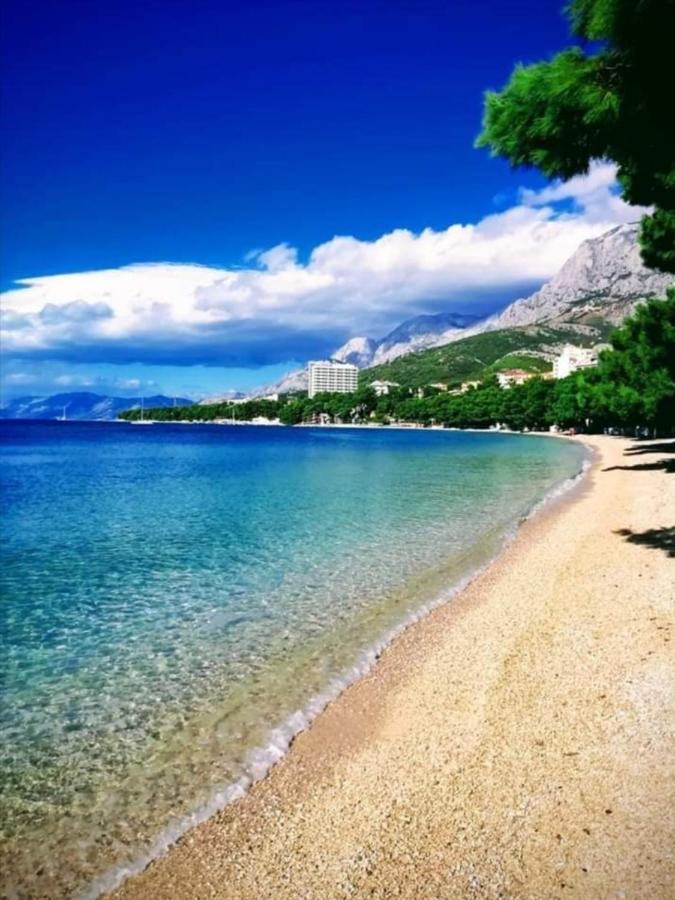 Apartment Silvia Makarska Exterior foto